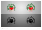Logo Design for Bangladesh Heritage and Ethnic Society of Alberta (BHESA)